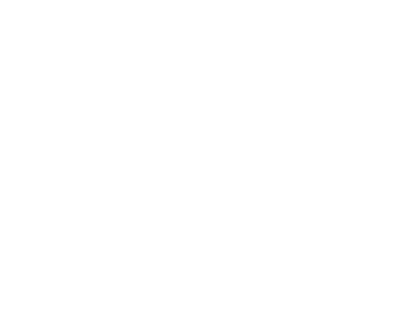 Crane Xpress Logo